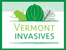 Learn about Vermont Invasives