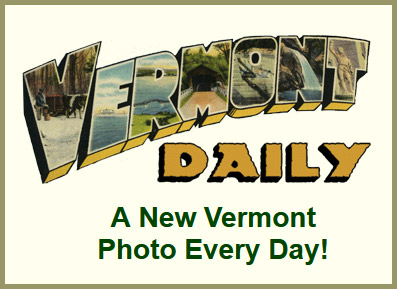 vtdaily